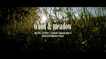 Free download Wood  Meadow 4K | Sony FX6 | 4K 120fps | Samyang 14mm | Filmconvert [Short, Gear] video and edit with RedcoolMedia movie maker MovieStudio video editor online and AudioStudio audio editor onlin